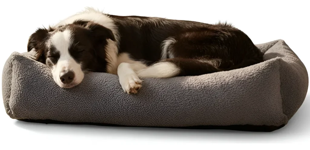 Cachorro tranquilo dormindo confortavelmente em sua cama, transmitindo sensação de segurança e bem-estar 